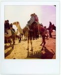 Egypt8