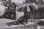 F1090010
