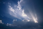 F1000003