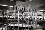 F1060019