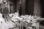 F1090031