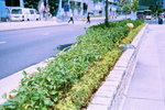 08A