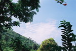F1230031