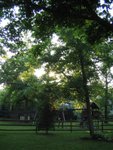 IMG_2221