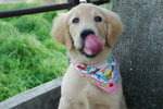 Funny Face