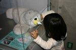 Robot Pet