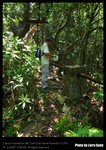 L-IMG_4470