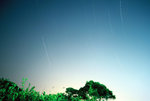F1000006a