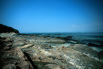 F1000029a