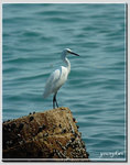 DSC_3460