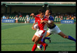 DSC_3940 copy