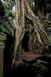 IMG_8608